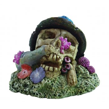 HAQUOSS KORAL SKULL 3 - 11,5x8,6x8,5h cm